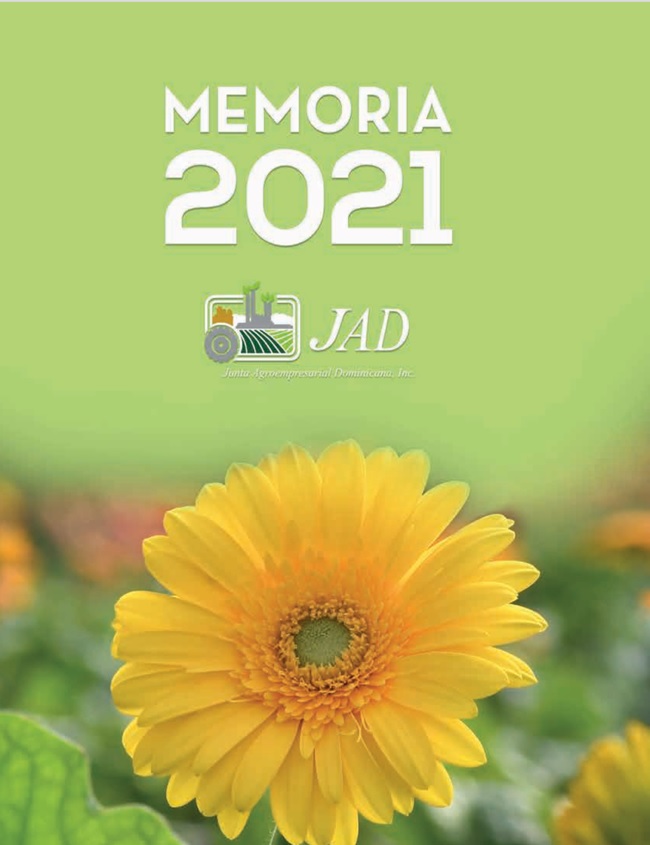 MEMORIA JAD 2021